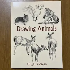 Drawing Animals by Hugh Laidman