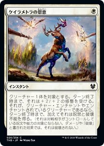 MTG マジック：ザ・ギャザリング ケイラメトラの恩恵 コモン テーロス還魂記 THB-026 日本語版 インスタント 白