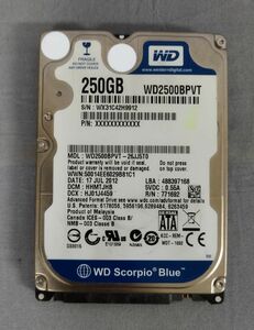 『ウエスタンデジタル WESTERN DIGITAL (WD2500BPVT-16JJ5T0) 250GB 2.5インチHDD 5400rpm』/Y10382/fs*23_12/62-03-2B-01