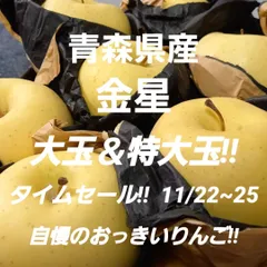 ★期間限定★青森県産 金星 希少 りんご 大＆特大玉 家庭用 6~8玉 ⑮