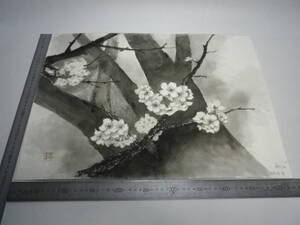 「桜 ～ 寺（裏表描画）」水墨画【坂垣内 将泰】作者直筆原画「真作」P10号ハーネミューレ紙(経年保管品)【送料無料】00700207