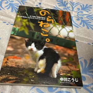 のらねこ。　外で暮らす猫の姿をありのままにとらえたフォトエッセイ 中川こうじ／著