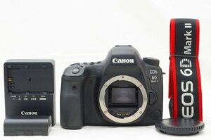 ☆美品☆ Canon キャノン EOS 6D MarkII ボディ ♯25012002