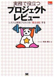 実務で役立つプロジェクトレビュー システム開発プロセスを「見える化」する/菊島靖弘(著者)