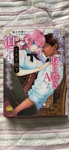 悪役令嬢の取り巻きAですが、王太子殿下に迫られています。①