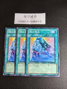 YSD 遊戯王 魂の解放 ３枚 ノーマル SD14-JP021