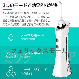 口腔洗浄器 口腔ケア ウォーターピック Ipx7防水 ジェットウォッシャー 歯ブラシ 水流洗浄 強弱切り替え 舌磨き USB充電式 歯垢洗浄