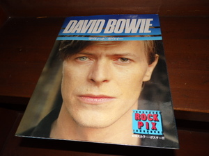 DAVID BOWIE デヴィッド・ボウイー/ROCK PIX （GB/15