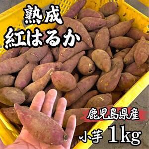 【本場】紅はるか 訳あり 1kg さつまいも シルクスイート好きに d