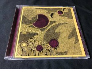 HIEROGLYPHIC BEING AND THE CONFIGURATIVE OR MODULAR ME TRIO - THE SEER OF COSMIC VISIONS CD / JAMAL MOSS