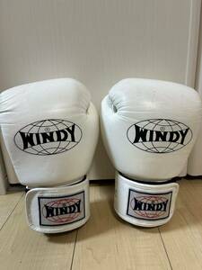 WINDY 12オンス　キックボクシング 