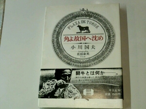 小川国夫■角よ故国へ沈め　平凡社