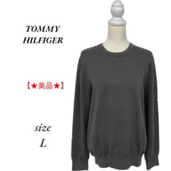 TOMMY HILFIGER トミーヒルフィガー グレー ニット Lサイズ