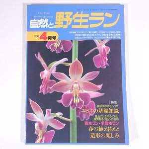 自然と野生ラン No.112 1995/4 新企画出版局 雑誌 園芸 ガーデニング 植物 蘭 ラン 特集・エビネの基礎知識 春の植え替えと造形の楽しみ