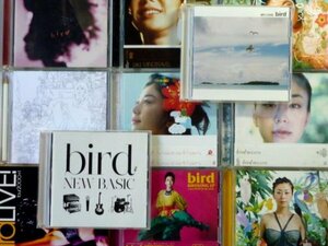 CD bird アルバムまとめて11枚セット