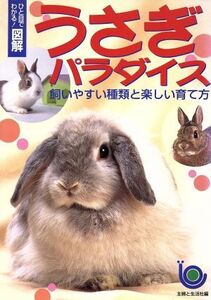 ひと目でわかる！図解 うさぎパラダイス 飼いやすい種類と楽しい育て方 ひと目でわかる！図解/主婦と生活社(編者)