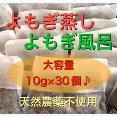 お得♪大容量10g×30個　乾燥よもぎ よもぎ蒸し よもぎ入浴剤　野草　温活