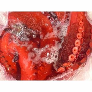お歳暮) ビックリ極太 酢ダコ 5kg 北海道産