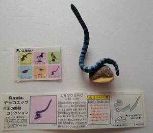 チョコエッグ　日本の動物コレクション エラブウミヘビ 