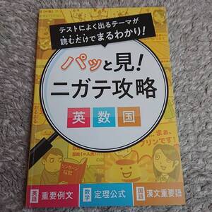 ◇ 進研ゼミ高校講座「パッと見！苦手攻略 英数国」