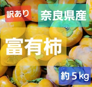 【送料無料】訳あり　富有柿　約5kg　奈良県産　五條市産　ご家庭用　甘柿　約16個～20個　サイズ色々 ご自宅用 格外品