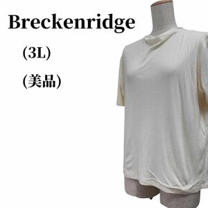 Breckenridge ブレッケンリッジ Tシャツ 春夏コーデ 匿名配送