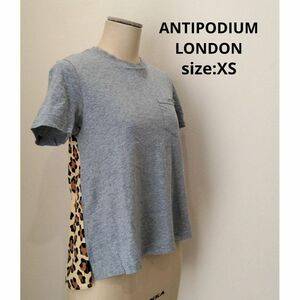 ANTIPODIUM LONDON ひょう柄 切替 デザインTシャツ XS 春夏