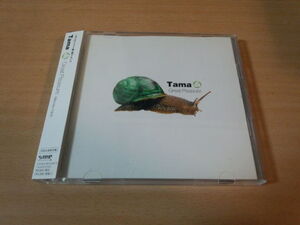 Tama CD「Great Pleasure」初回盤DVD付（ポルノグラフィティ）●