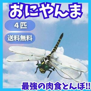 4個セット 実物サイズ オニヤンマ ストラップ 安全ピン 虫除け 釣り キャンプ