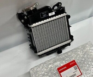 ホンダ 純正 RUCKUS 50 ラジエーター HONDA RUCKUS 50 RADIATOR 未使用 Genuine JDM OEM メーカー純正品