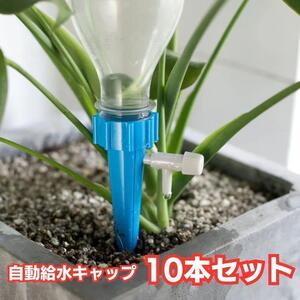 自動水やり器 プランター 留守 自動給水キャップ ペットボトル 10個セット　出張　旅行　入院　