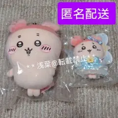 ちいかわ 古本屋(カニちゃん) まじかるマスコット&ぬいぐるみSセット