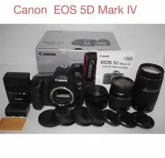 保証/付属品完備/キヤノン Canon EOS 5D Mark IV マーク 4