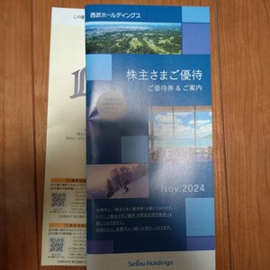 西武ホールディングス 株主優待　冊子1冊（500株以上1000株未満）内野指定席引換券2枚