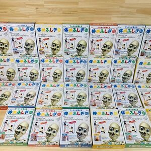 AAH43400 未開封品 まとめ売り アーサーが教える 体のふしぎ 55~88