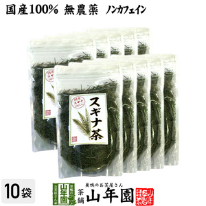 健康茶 国産100% スギナ茶 70g×10袋セット 無農薬 ノンカフェイン 宮崎県産 送料無料