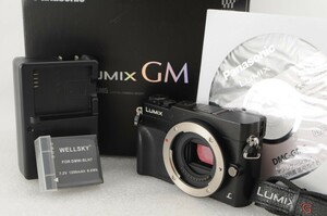 Panasonic パナソニック LUMIX DMC-GM5 ボディ ブラック