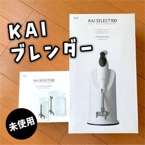 【未使用】KAI マルチブレンダーおまけのカップ付き　スムージー・ミンチ・コーヒーミルなど使い勝手よしusd241121