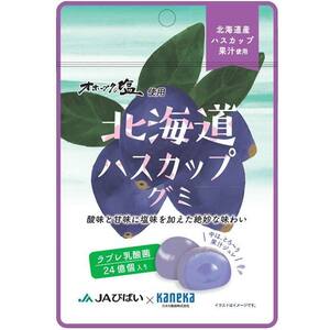 グミ 乳酸菌入り 北海道 ハスカップ グミ カネカ食品 オホーツクの塩使用 美味しい スッキリ 酸味 甘味 塩味 果汁ジュレ ラブレ乳酸菌