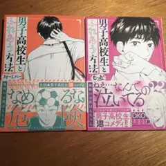 男子高校生とふれあう方法 2冊セット