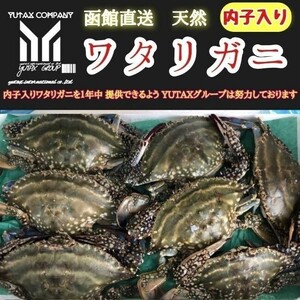 北海道産　ワタリガニ　メス内子入り　1.5㎏ 渡り蟹　わたりがに