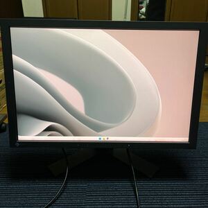 【医療用高級モニタ】EIZO ナナオ RadiForce MX241W 24インチ 1920×1200 モニタ ディスプレイ