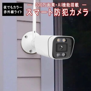 防犯カメラ 屋内屋外兼用 ワイヤレス CS58 2K 1296p 300万画素 ONVIF wifi 無線 MicroSDカード録画 録音 動体検知 PSE「CS58.A」