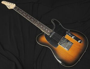 SCHECTER PS-PT-AL-RH/2TS/R シェクター テレキャスタータイプ リバースヘッド/バインディング ダンカン エレキギター 特別オーダー