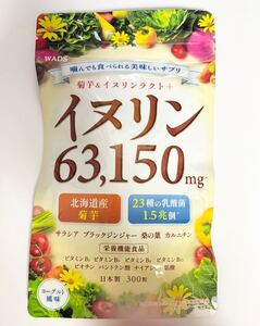 イヌリン 63,150㎎ 300粒 菊芋 23種の乳酸菌 栄養機能食品 ビタミンB サラシア 桑の葉 ブラックジンジャー カルニチン WADS