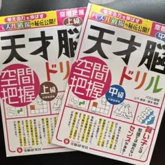 天才脳ドリル/空間把握 上級 中級2冊セット