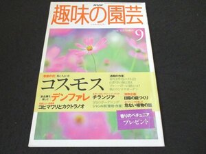 本 No1 00098 NHK 趣味の園芸 1998年9月号 コスモス デンファレ チランジア コヒマワリとカクトラノオ コンテナガーデン ブルーベリー 日陰