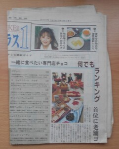 新聞紙 日本経済新聞 2003年2月1日 プラス1 古紙 1部