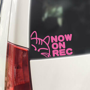 NOW ON REC/ステッカー（ライトピンク/ネコ13.5cm）ドライブレコーダー搭載車/録画中