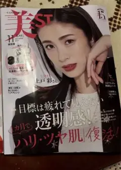 美ST11月号 特別版　付録なし